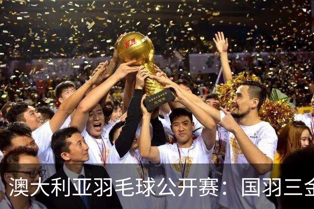 澳大利亚羽毛球公开赛：国羽三金两银收官